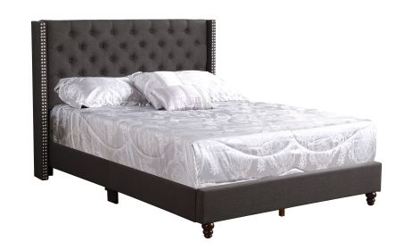 Glory Furniture Julie G1906-QB-UP Queen Upholstered Bed , BLACK